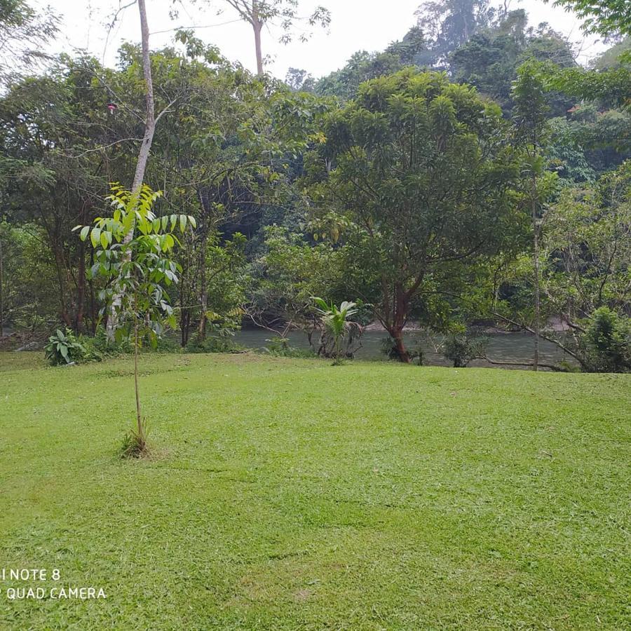 Green Forest Tangkahan Dış mekan fotoğraf