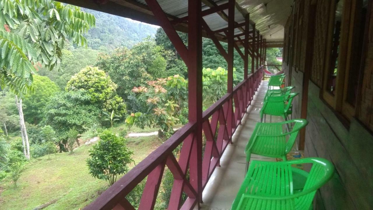 Green Forest Tangkahan Dış mekan fotoğraf