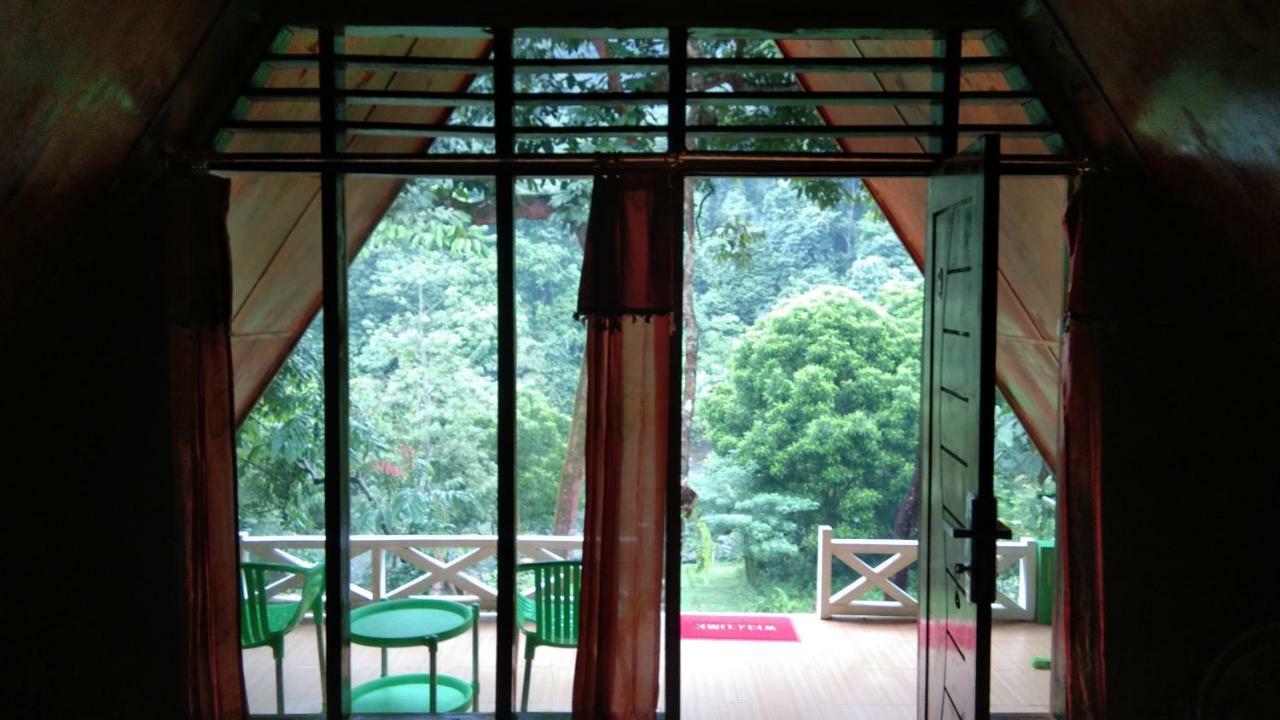 Green Forest Tangkahan Dış mekan fotoğraf