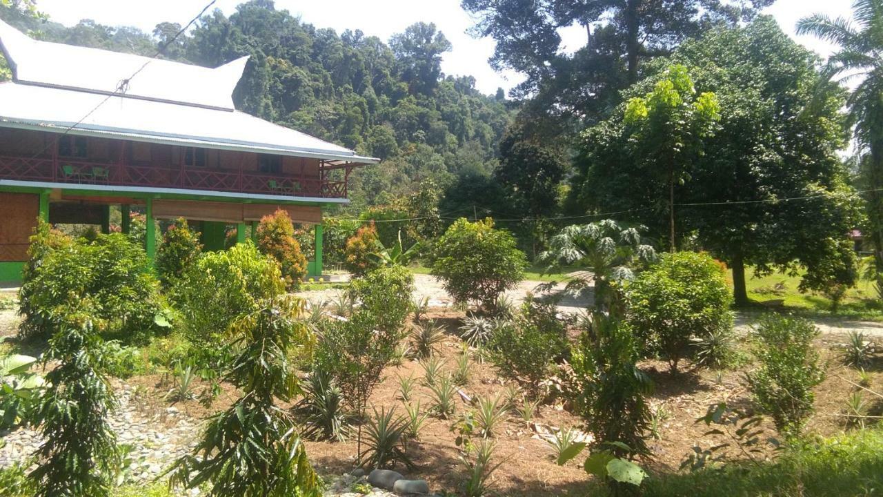 Green Forest Tangkahan Dış mekan fotoğraf