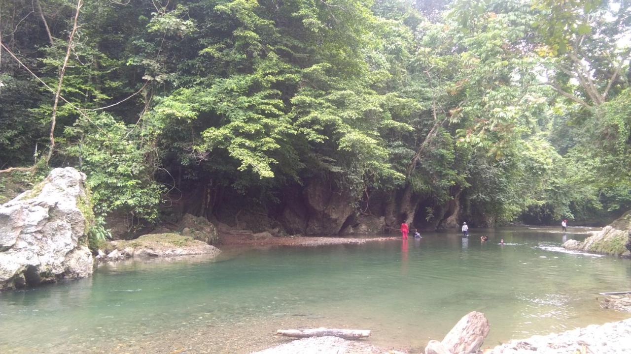 Green Forest Tangkahan Dış mekan fotoğraf