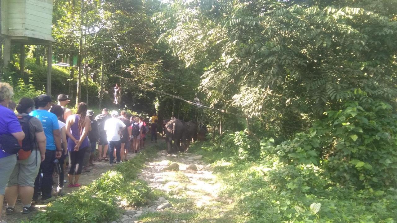 Green Forest Tangkahan Dış mekan fotoğraf