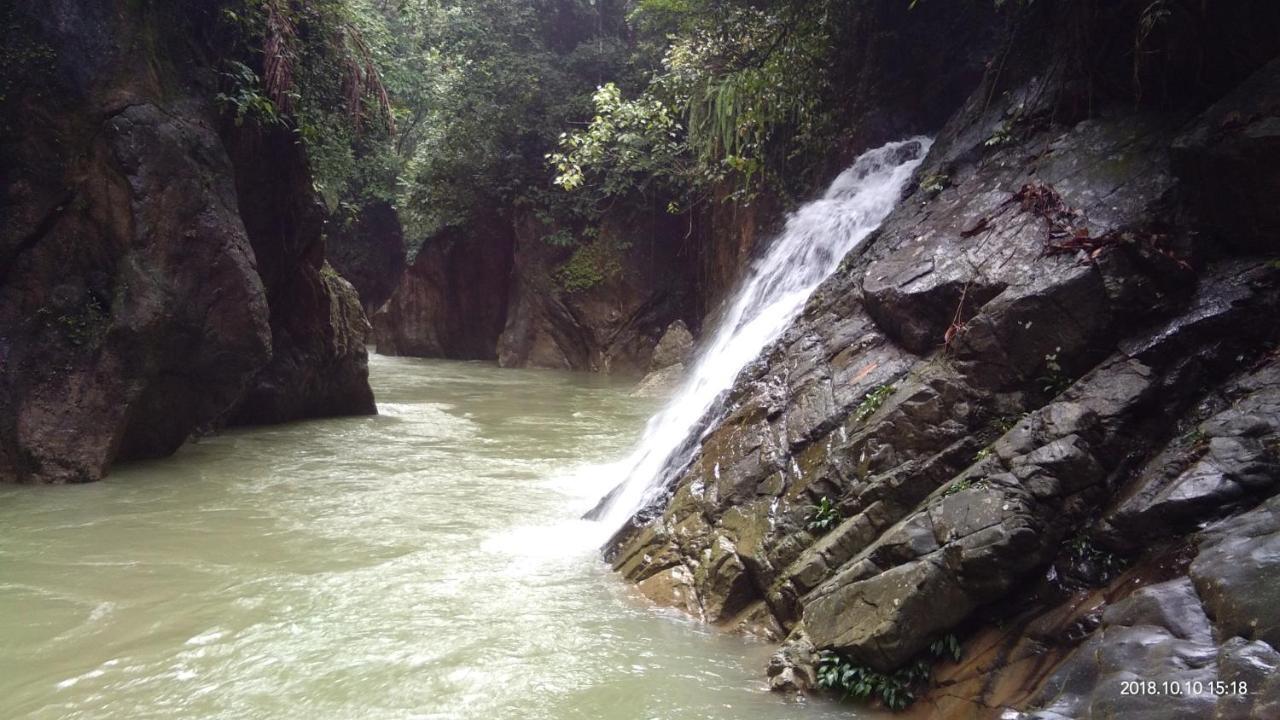 Green Forest Tangkahan Dış mekan fotoğraf